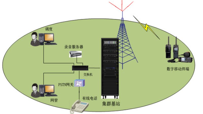交换机尺寸规格解析：如何选择合适的网络构建基石